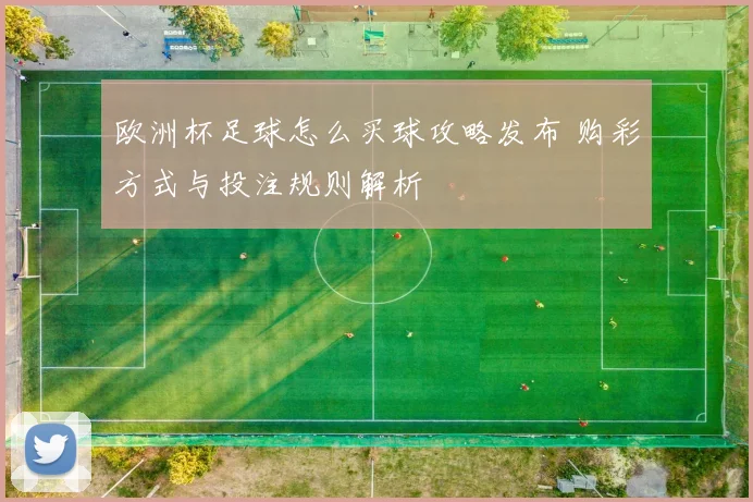 欧洲杯足球怎么买球攻略发布 购彩方式与投注规则解析