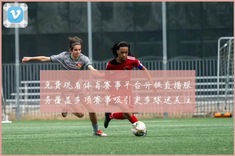 免费观看体育赛事平台升级直播服务覆盖多项赛事吸引更多球迷关注