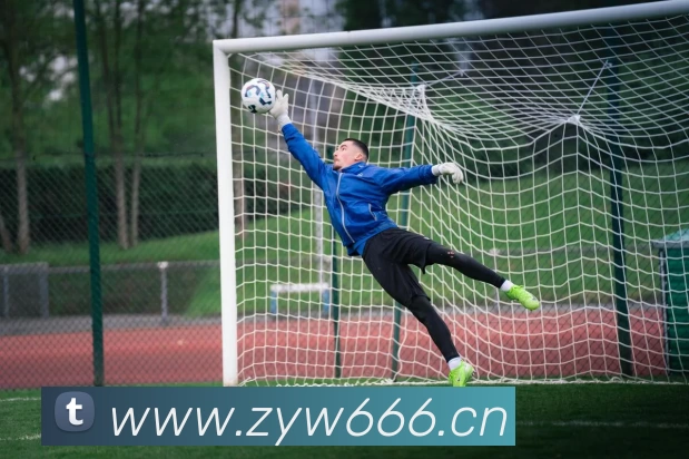 压球首页平台生态图